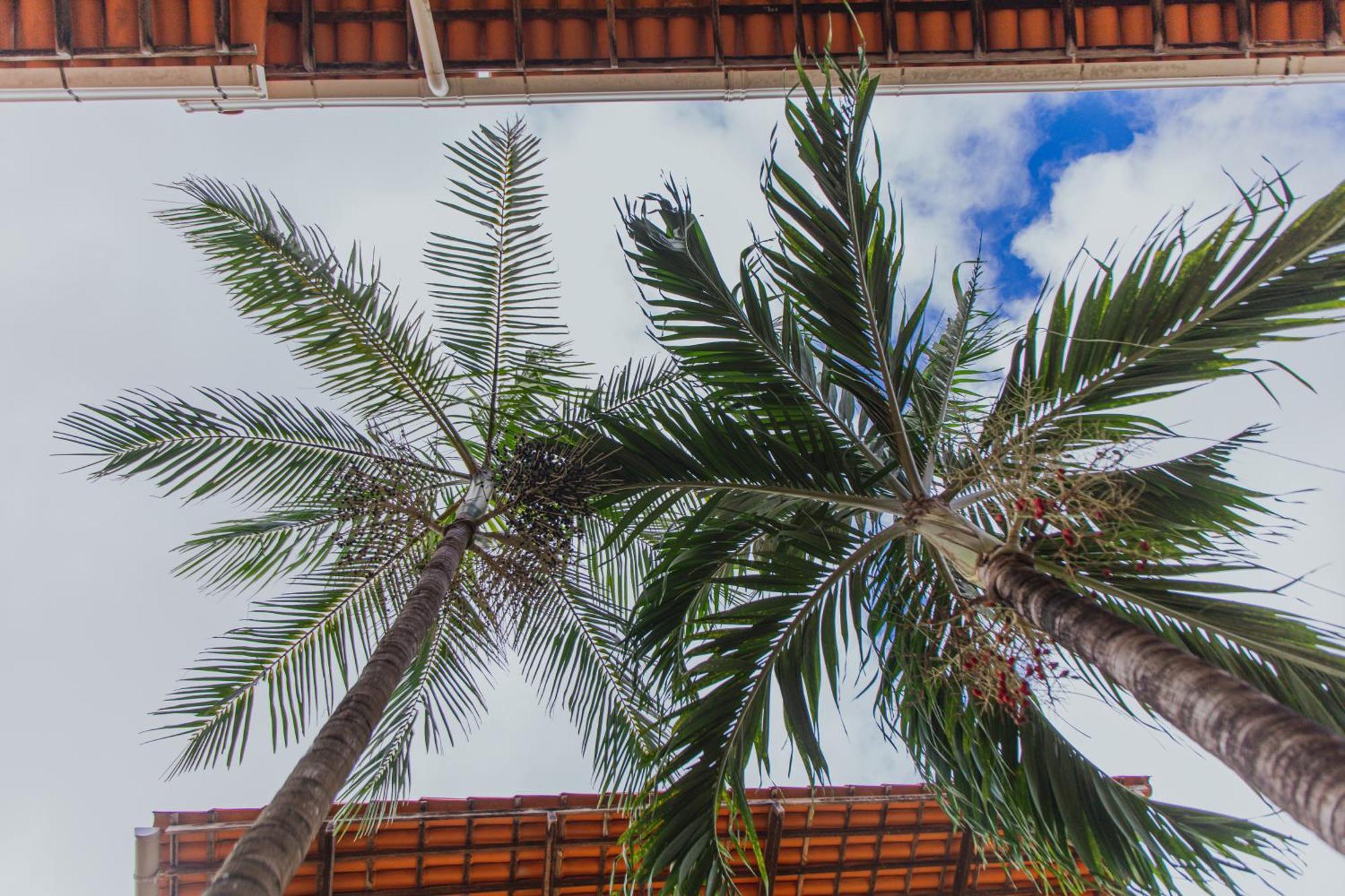 Pousada D' Areia Barreirinhas Kültér fotó